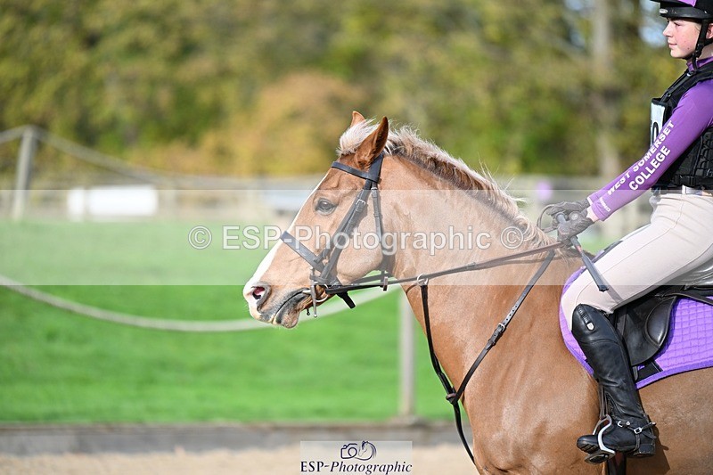 241117-111238-03451 - Cls 2 80-85cm 10.20 to 11.20