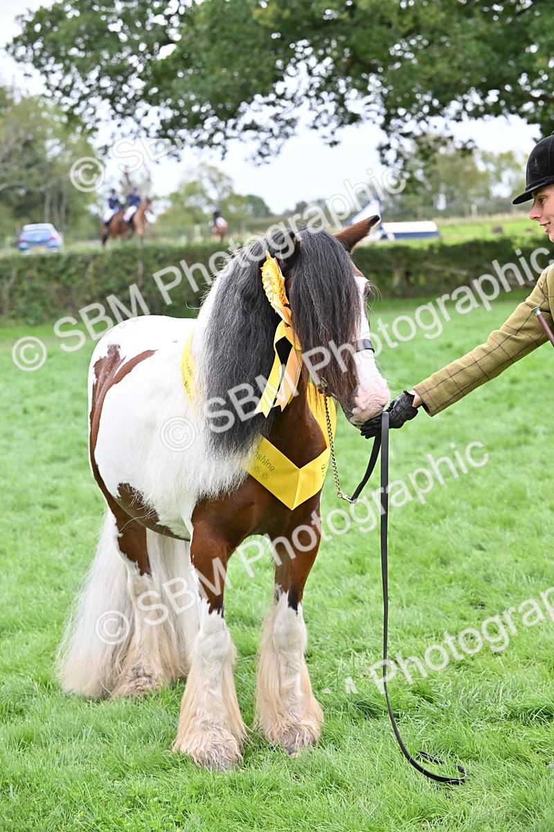 SBM_65042 - In Hand Pony & Younstock Supreme Championship