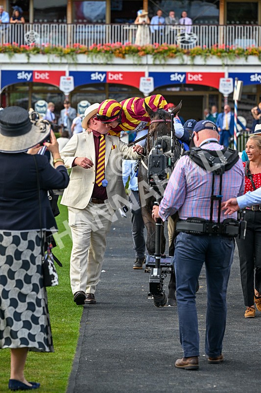 220826-Race 5-Sondad-1200 - Race 5 16.10pm Sky Bet Constantine Handicap