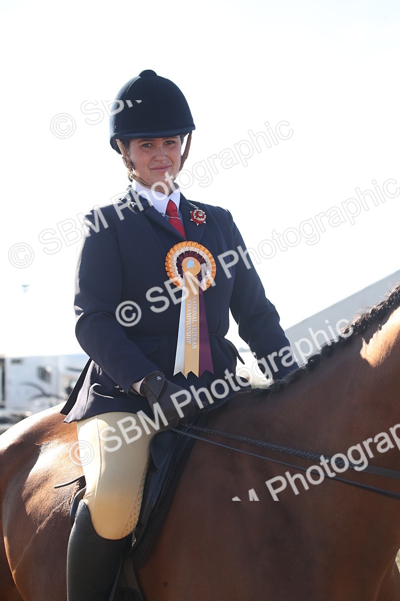 SBM_11349 - Class 501 -Riding Club Pony