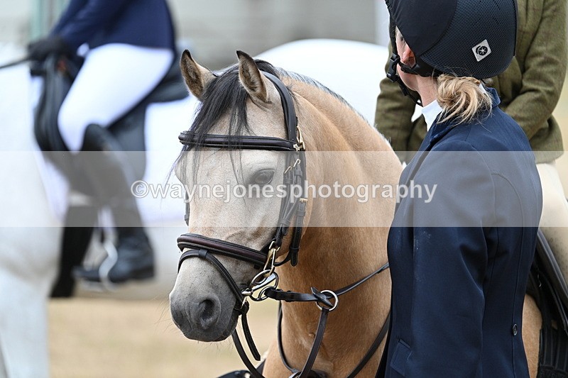 WJ7_7131 - Class 2 Best Rider