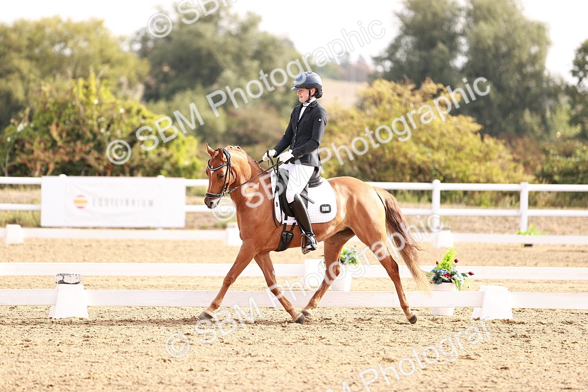 SBM_016903 - Class 10 - Medium 6