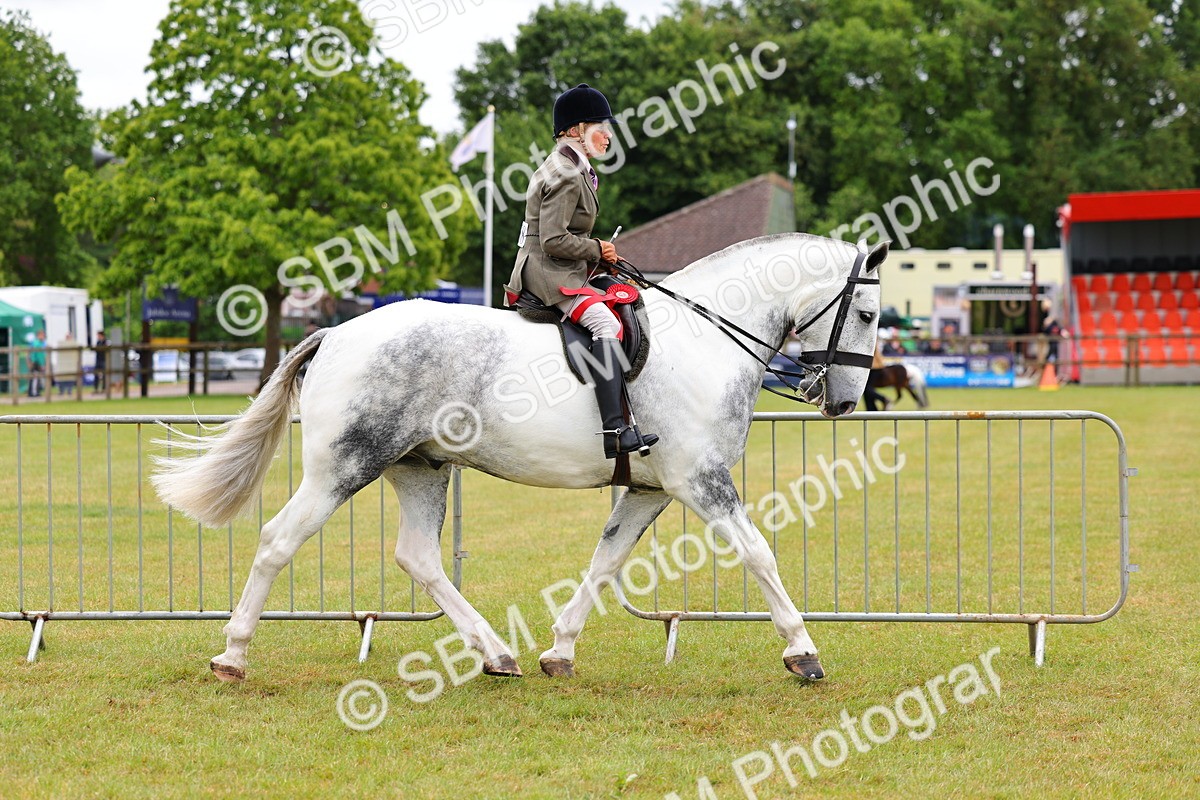 SBM_02596 - Class 9-11 Side Saddle including LIHS Rising Star Ladies Show Horse
