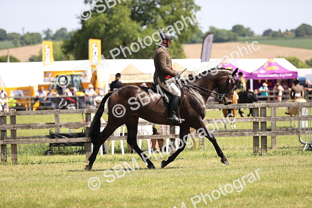 SBM_15011 - Class 78 - LIHS BSHA Open Racehorse & Show Horse
