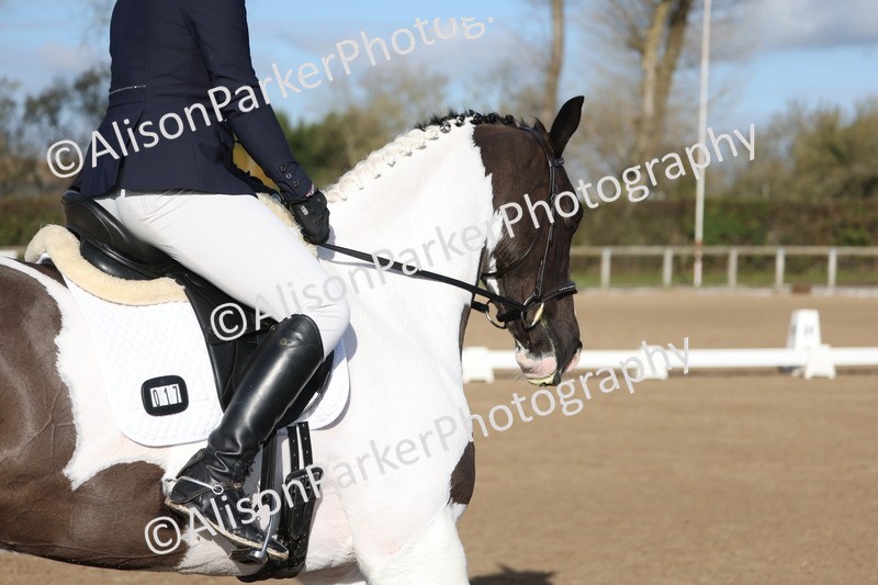 20260128-0522 - Class 4 - Novice 5