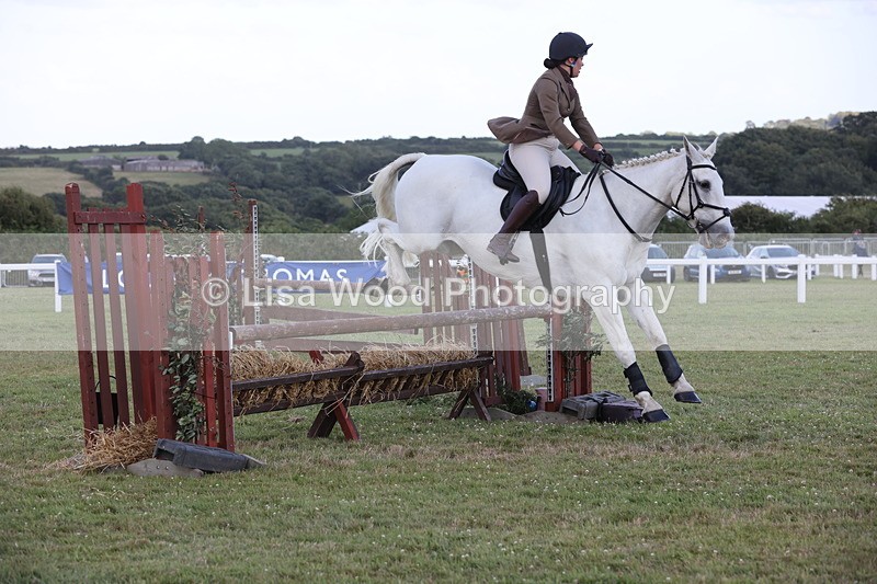 JPP_3620 - Class 24: Open Working Hunter