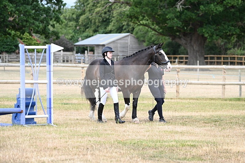 WJ6_4185 - Class 10 Coloured In-hand