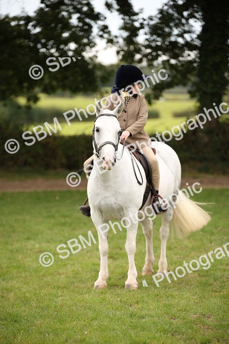 SBM_72357 - S67 - Show Cob Ridden