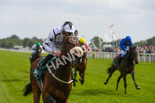 yr13052022r5-30 - Race 5 4.10pm Paddy Power 'Fill Thi Boots' Stakes