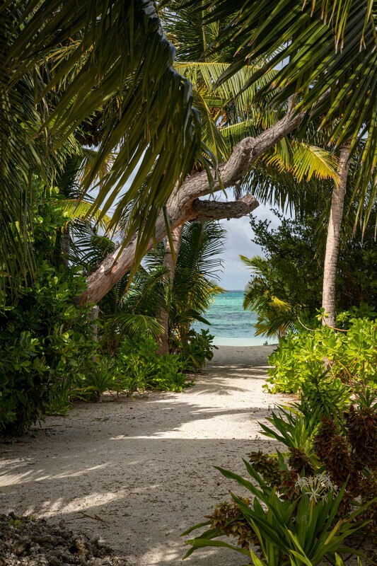 In Paradisum - Latest Images