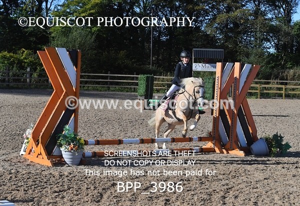 BPP_3986 - CLASS 2 40CM FINAL