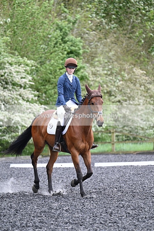 WJ7_1894 - Time 15:05 to 15:27