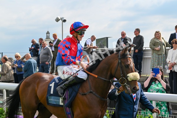 160524-Race 5-Big Evs-6246 - Race 5 4.15pm  British Stallion Studs EBF Westow Stakes
