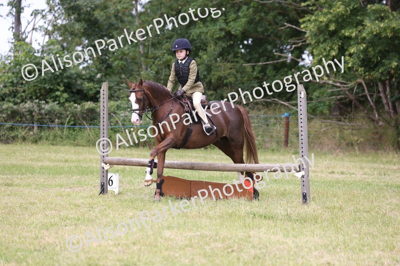 20260614-3007 - Class 22 - Open Working Hunter