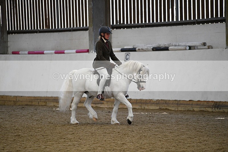 WJ5_5951 - Class 9 Ridden Veteran