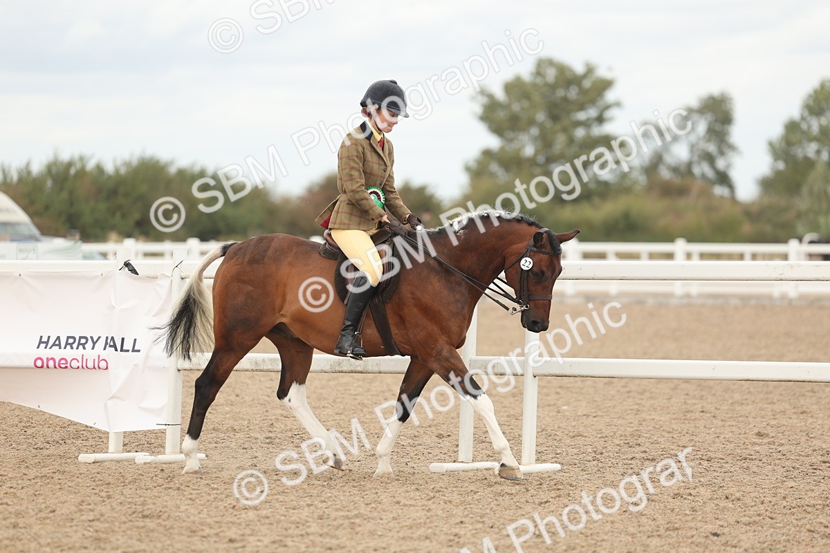 SBM_16093 - Class 311 - Ridden Show pony-Show hunter Pony
