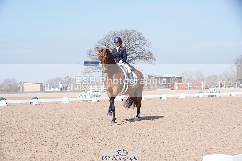 250404-122942-05669 - 028-Elizabeth.Allen-Heraldik