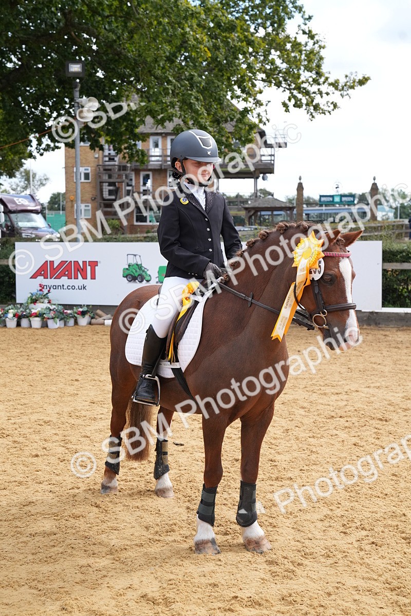 SBM_64557 - J2 - Mini Tour Junior Pony 30cm Championship