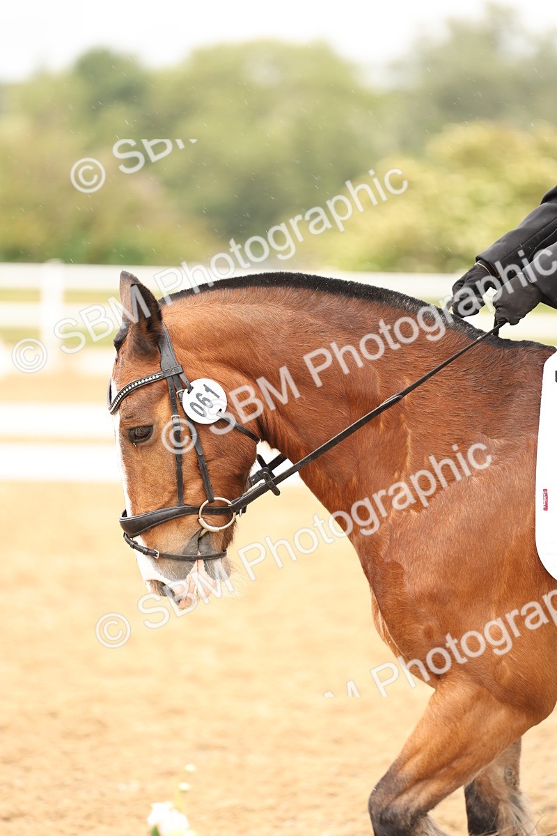 SBM_004619 - Class 6a - Novice 5 - 14.48-16.40