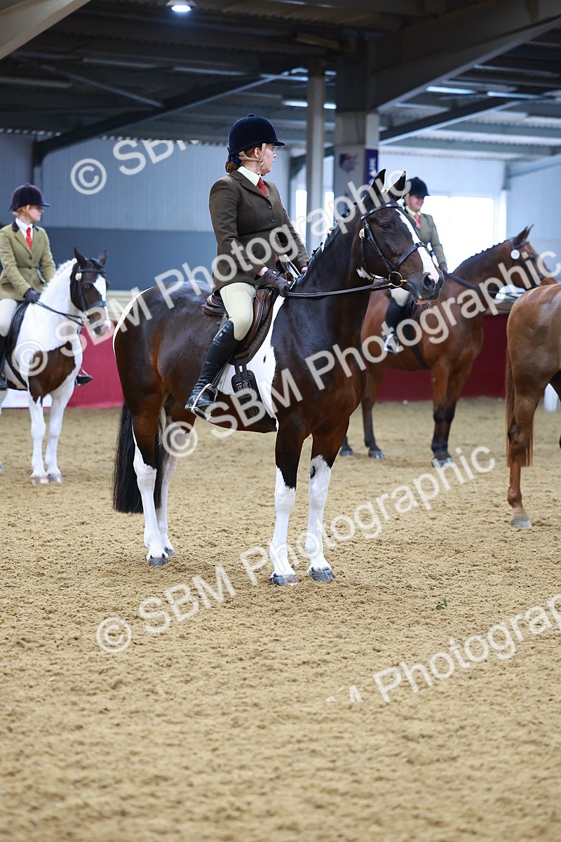 SBM_09830 - Class 102 - HOYS Veteran Qualifier - Ridden Veteran