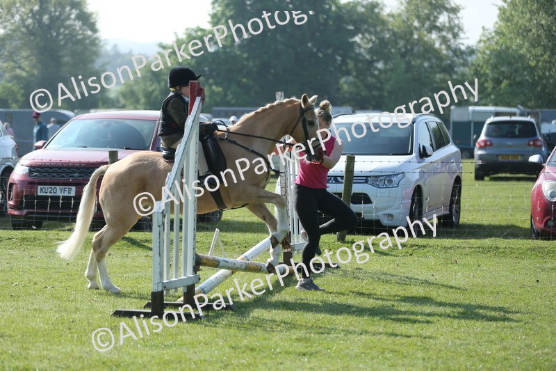20250427-0830 - Class 1 - Mini Jumping Lead Rein or Assisted