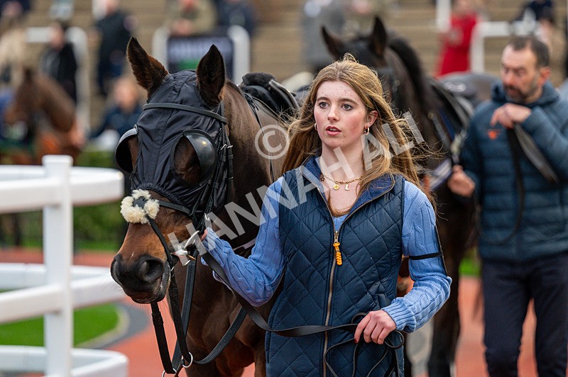 161125-Race 5-Laafi-1755 - Race 5
