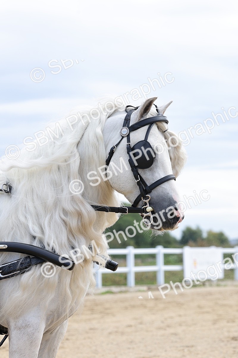 SBM_000449 - Class 4 - Junior Whip