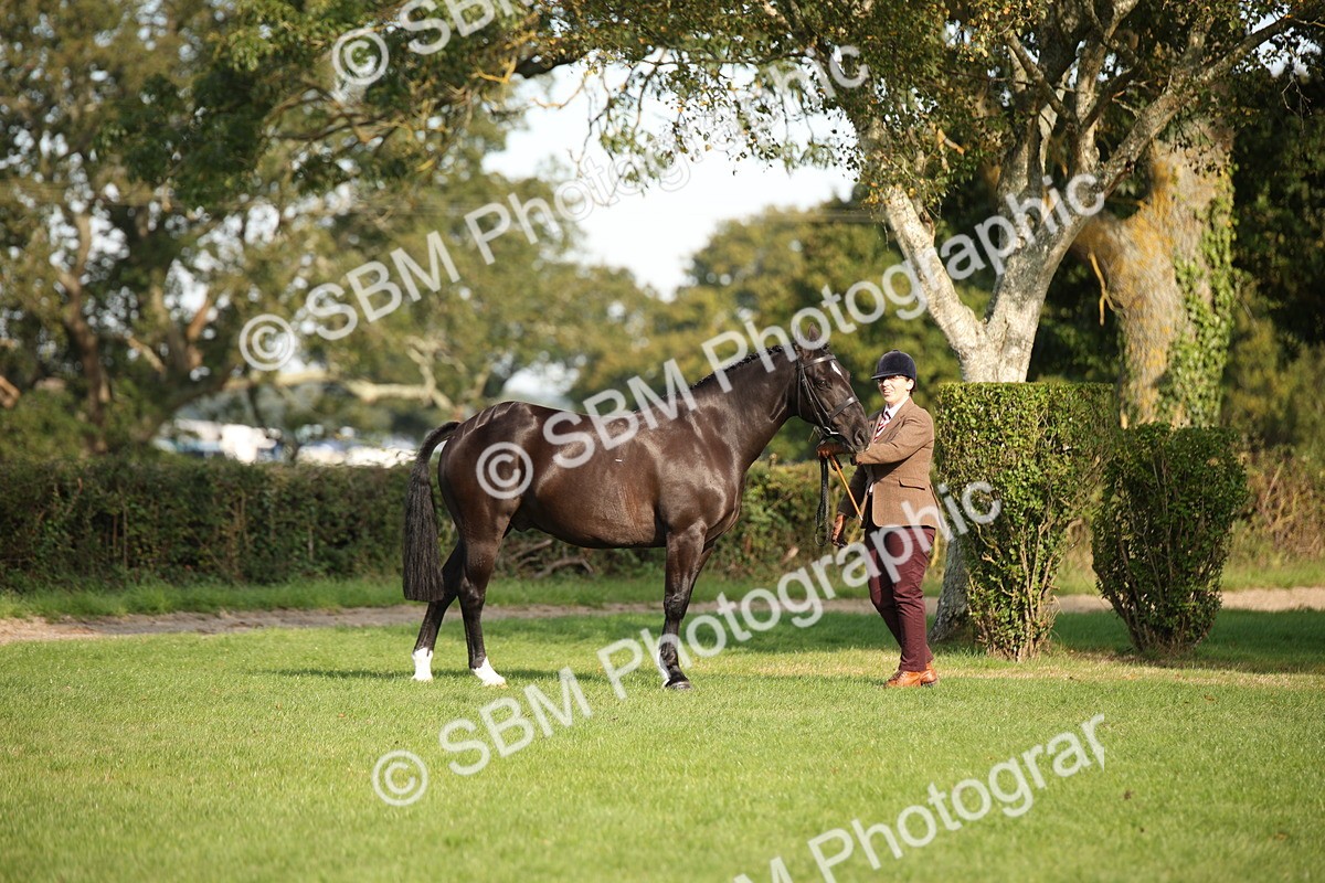 SBM_60072 - S53 - Hunter In Hand
