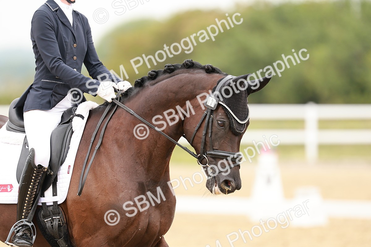 SBM_009235 - Class 12 - Elementary 6 - 10.50-11.50