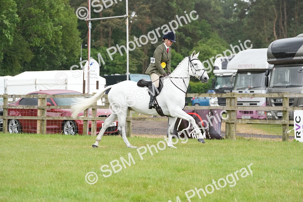 SBM_12824 - Class 97-98 - LIHS BSHA Rising Star Working Show Horse Hunter