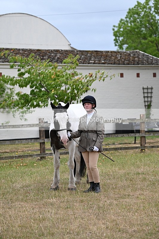 WJ6_8328 - Class 10 Coloured in Hand