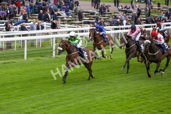 120724-Race 1-Tolstoy-1596 - Race 1 2.05pm William Hill Extra Place Races Daily Handicap