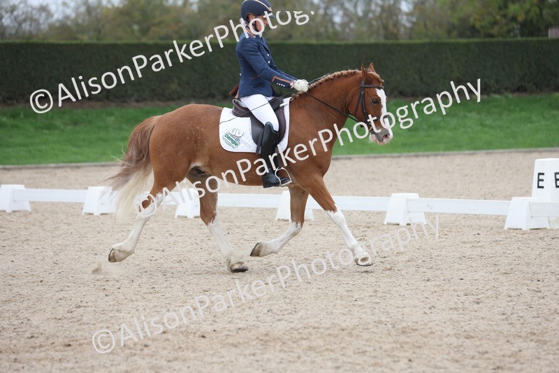 20251011-0409 - Class 4 - Novice 2