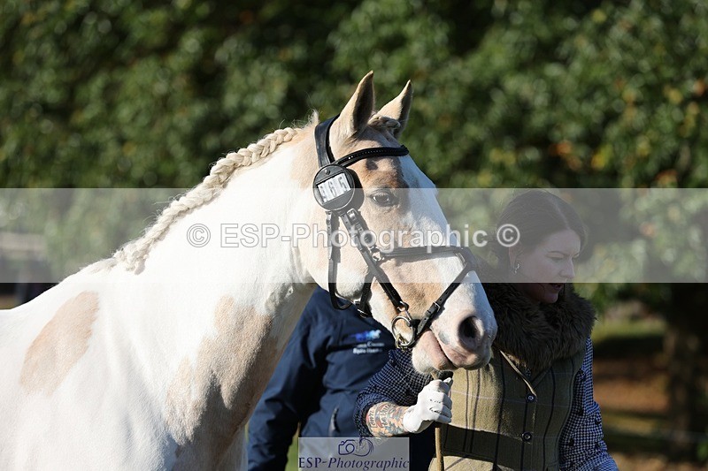 241027-091612-15171 - 465-Clare.Pascoe-MR.QUINN