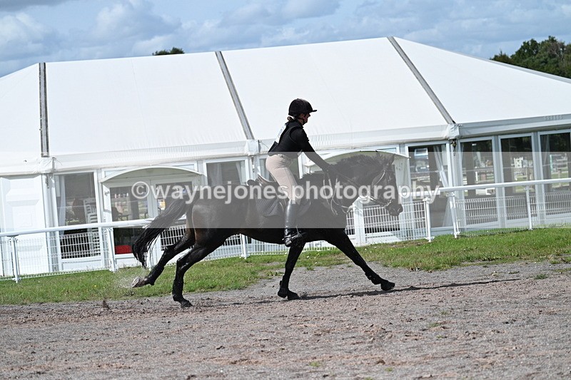 WJ7_2244 - Time 13:17 to 13:53