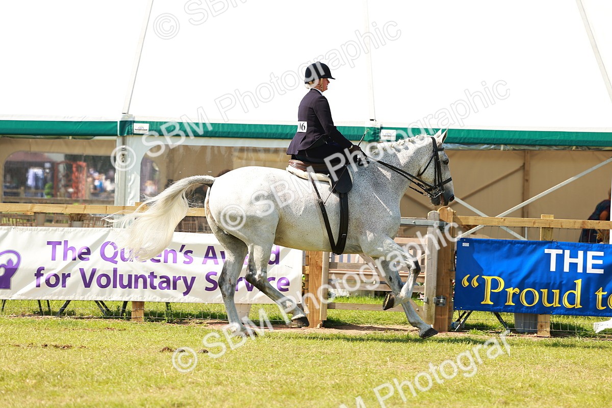 SBM_13371 - Class 70-71 - Side Saddle