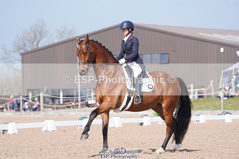 250404-122834-05661 - 028-Elizabeth.Allen-Heraldik