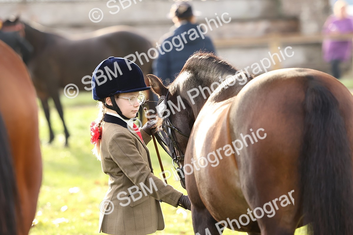SBM_54882 - S39 - Starters In Hand Showing