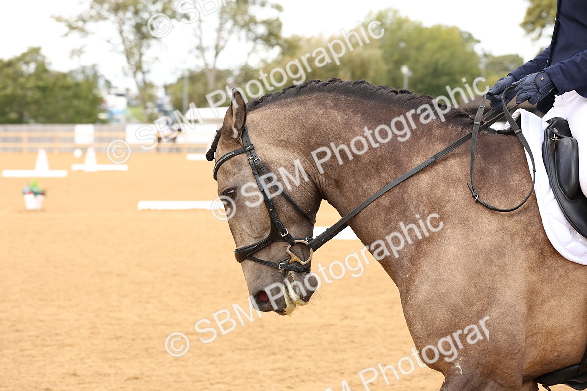 SBM_26906 - D17 - Grand Tour Championship Novice 3