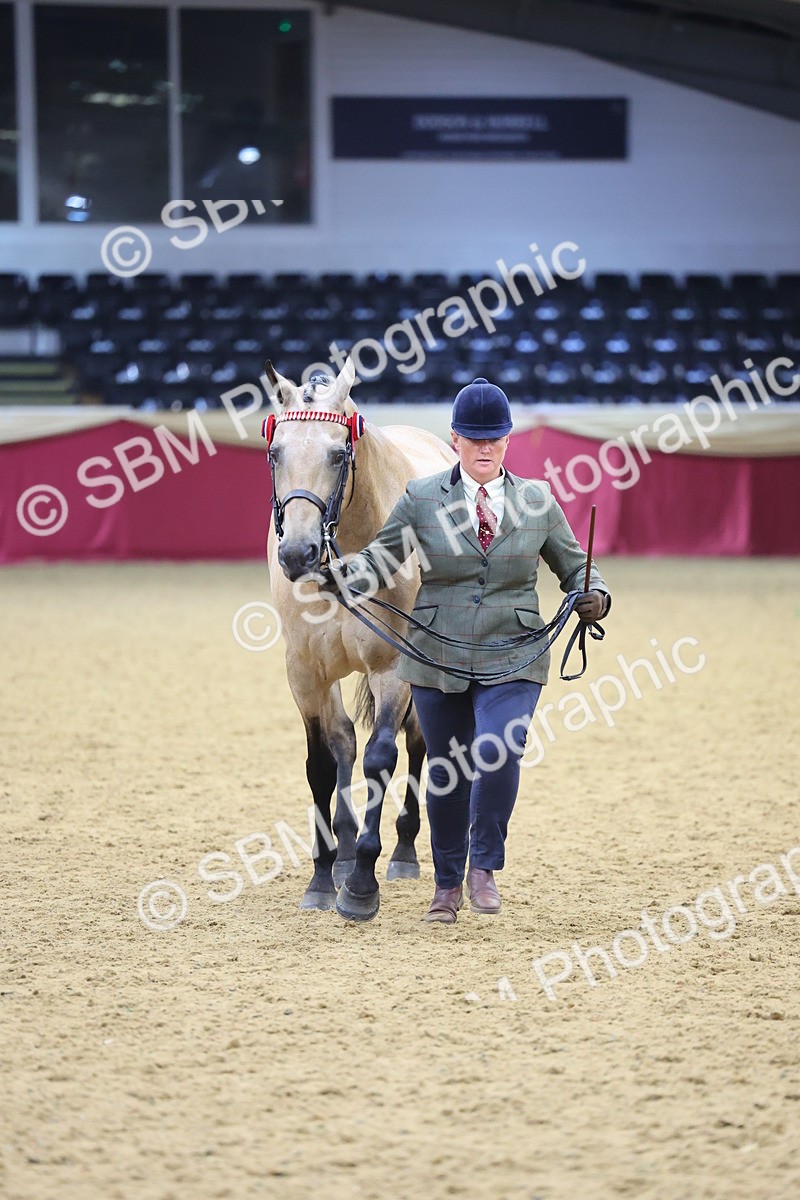 SBM_20865 - Class 902 - Supreme Final IH Veteran
