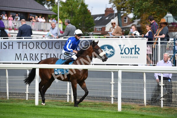 yr04092022r1-5 - Race 1 1.45pm IRE Incentive, It Pays To Buy Irish EBF Novice Stakes