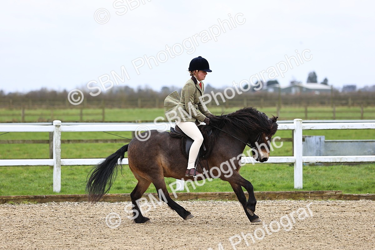 SBM_006758 - Class 29 - 30 - M&M Pure Novice Small-Large Breeds