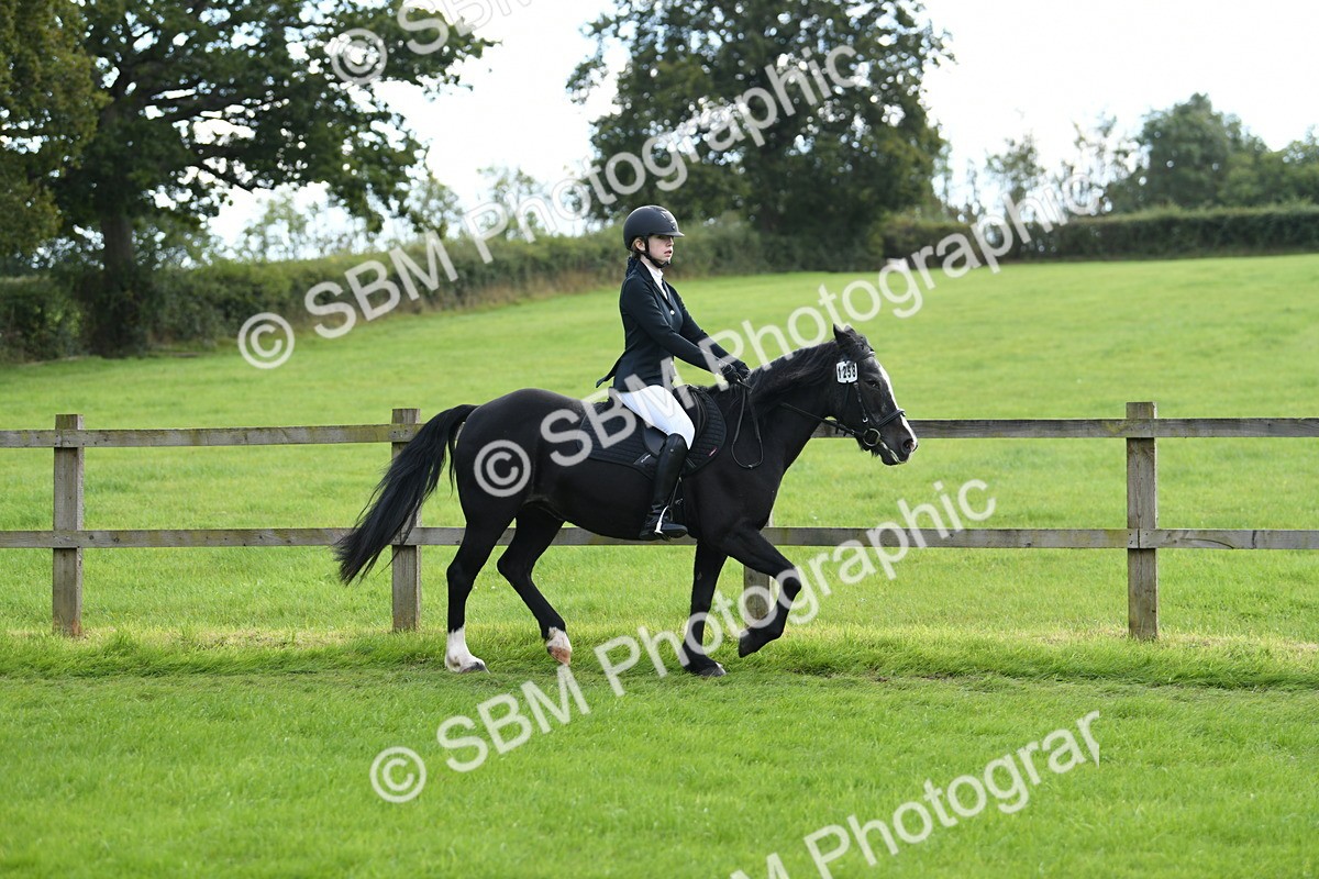 SBM_46758 - S12 - Family Horse & Pony