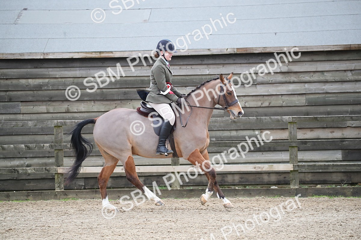 SBM_004779 - Class 5-9 - NPS In Hand-Show Hunter-Intermediate Ridden Inc Ridden Championship