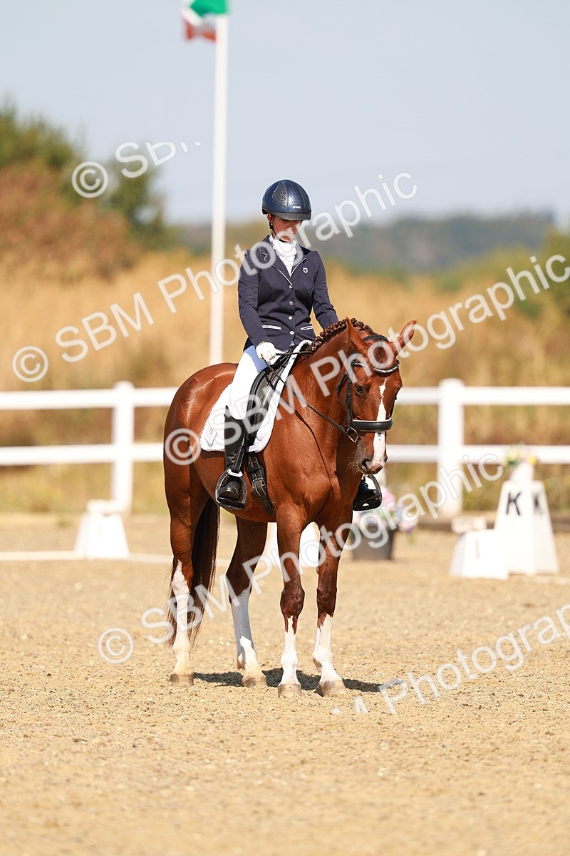 SBM_017646 - Class 9 - N5 Bronze 10.33.11.36