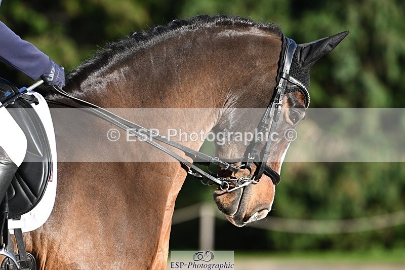 231110-140754-01848 - Cls 7 Medium 61