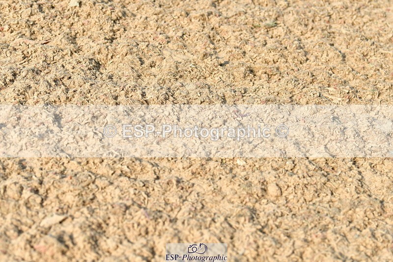 230721A-090226-04575 - Cls 26, 5 Yr Olds 1.10m