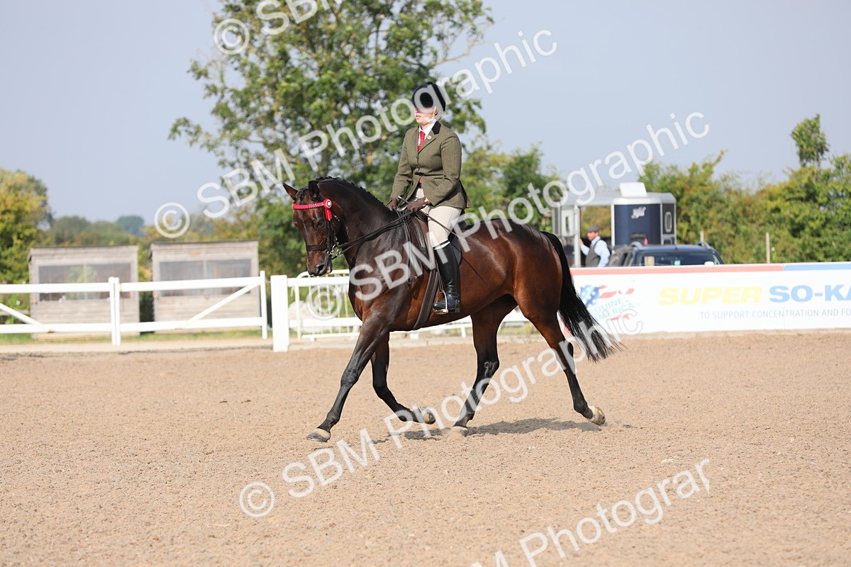 SBM_11362