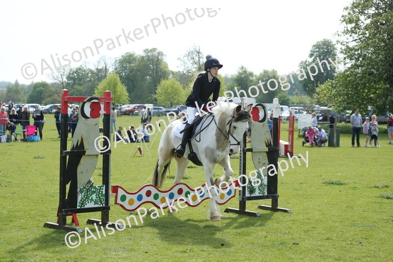 20260426-1655 - Class 14 - Novice 60cm