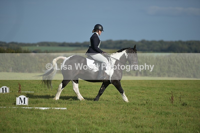 RAY_7301 - Class 2B: Trekenning Open: Dressage